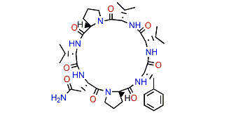 Axinastatin 1